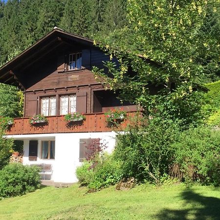 Ferienwohnung Betula Bad-Schwarzsee Bagian luar foto